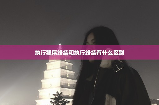 执行程序终结和执行终结有什么区别