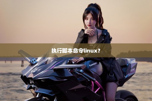执行脚本命令linux？