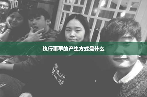 执行董事的产生方式是什么