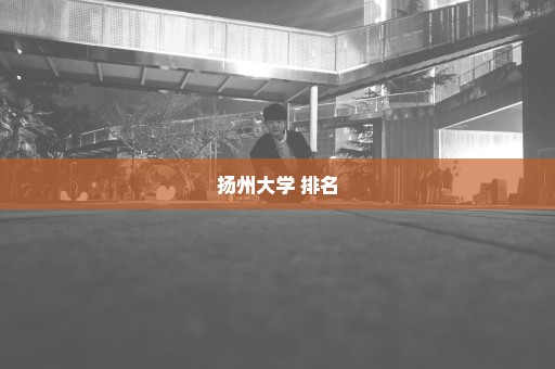 扬州大学 排名