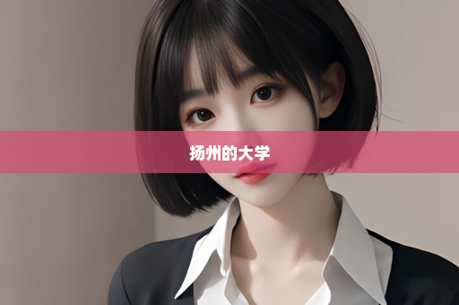 扬州的大学