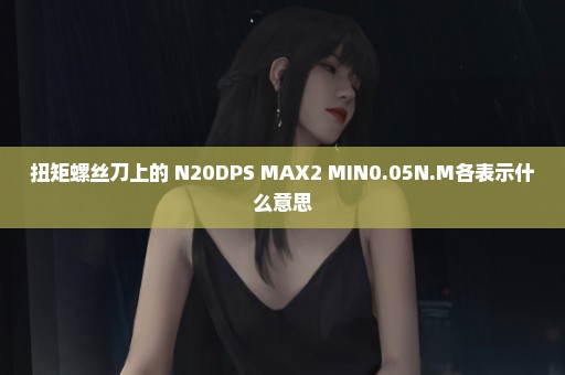 扭矩螺丝刀上的 N20DPS MAX2 MIN0.05N.M各表示什么意思