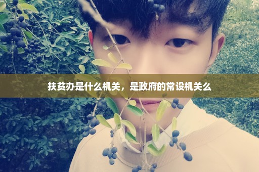 扶贫办是什么机关，是政府的常设机关么