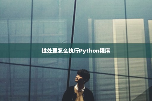 批处理怎么执行Python程序