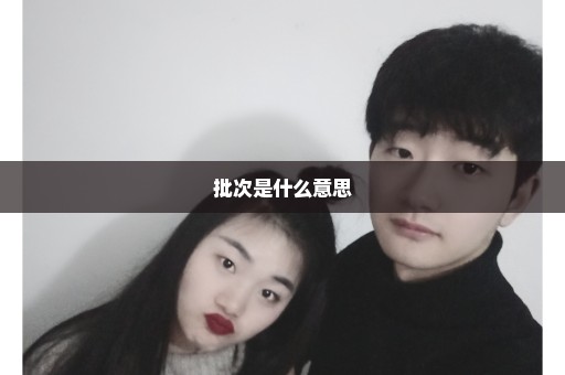 批次是什么意思