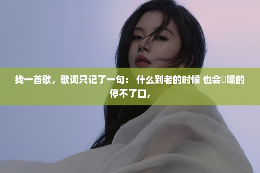 找一首歌，歌词只记了一句： 什么到老的时候 也会啰嗦的停不了口，