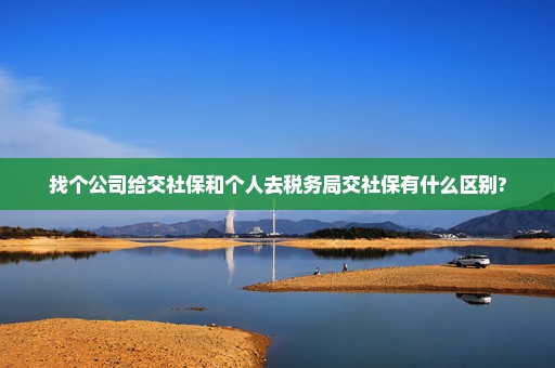 找个公司给交社保和个人去税务局交社保有什么区别?