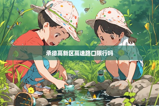 承德高新区高速路口限行吗