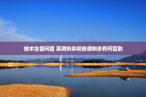 技术含量问题 高调刺杀和低调刺杀有何区别