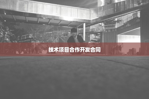 技术项目合作开发合同