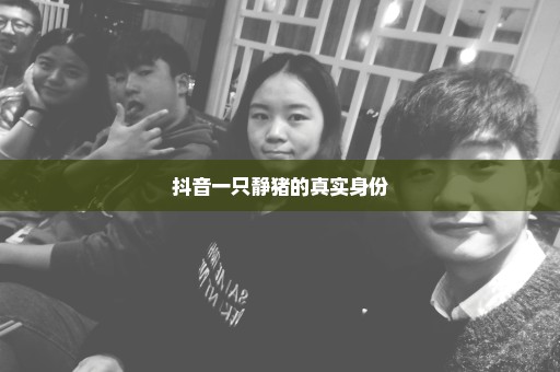抖音一只静猪的真实身份