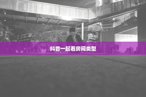 抖音一起看房间类型