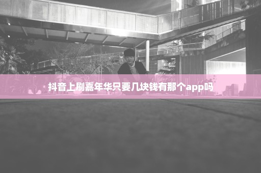 抖音上刷嘉年华只要几块钱有那个app吗