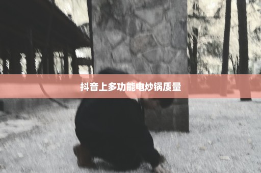 抖音上多功能电炒锅质量