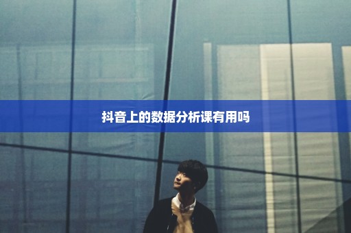 抖音上的数据分析课有用吗