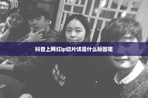抖音上网红ip切片该是什么标签呢