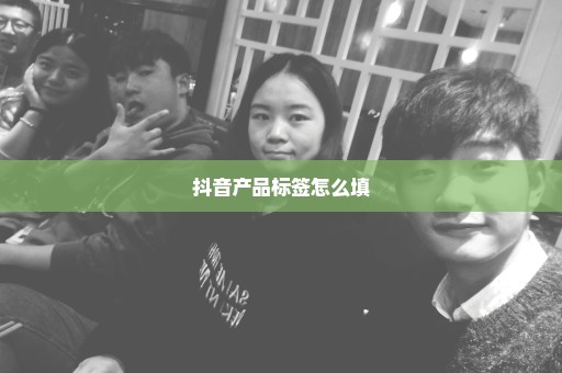 抖音产品标签怎么填