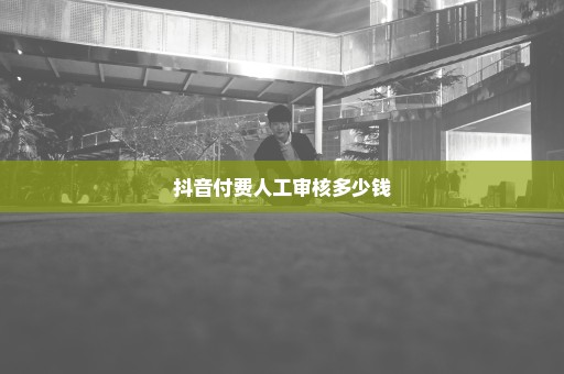 抖音付费人工审核多少钱