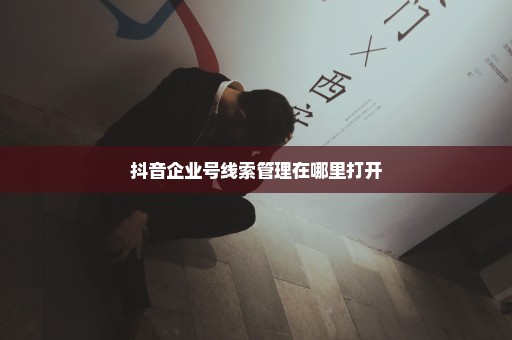 抖音企业号线索管理在哪里打开