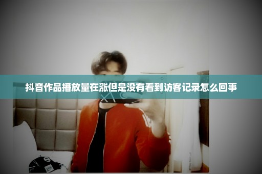 抖音作品播放量在涨但是没有看到访客记录怎么回事