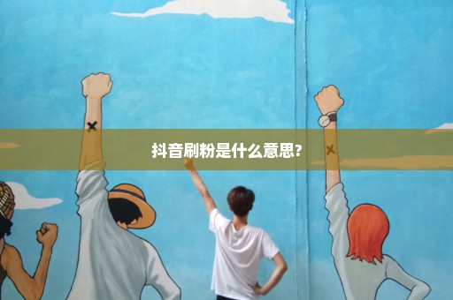 抖音刷粉是什么意思?