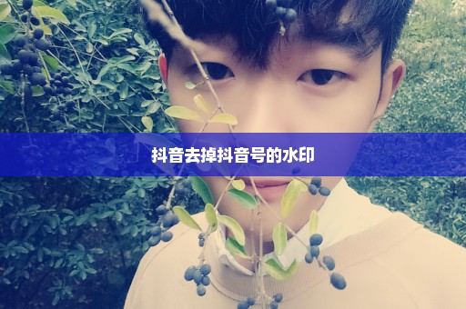抖音去掉抖音号的水印