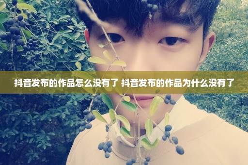 抖音发布的作品怎么没有了 抖音发布的作品为什么没有了