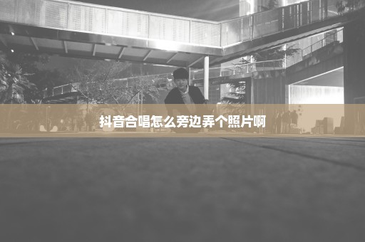 抖音合唱怎么旁边弄个照片啊