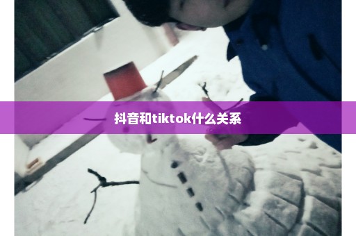 抖音和tiktok什么关系