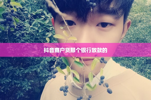 抖音商户贷那个银行放款的
