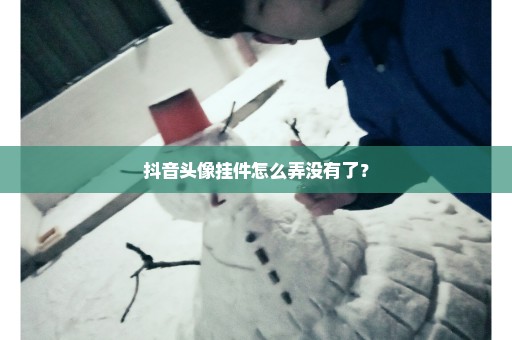 抖音头像挂件怎么弄没有了？