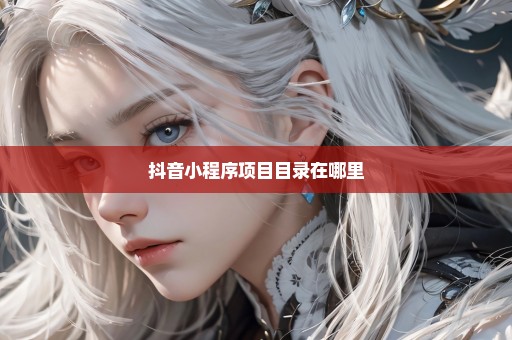 抖音小程序项目目录在哪里