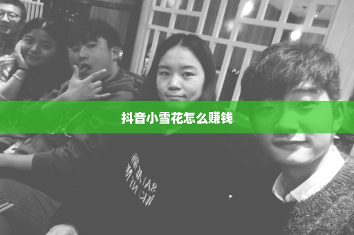 抖音小雪花怎么赚钱