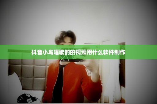 抖音小鸟唱歌的的视频用什么软件制作