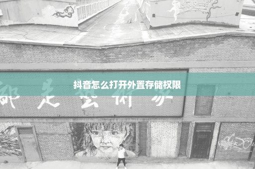 抖音怎么打开外置存储权限