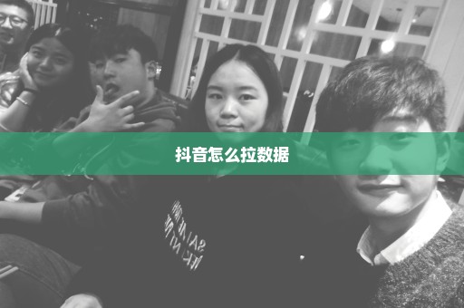 抖音怎么拉数据