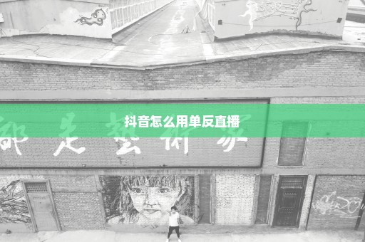 抖音怎么用单反直播