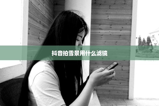 抖音拍雪景用什么滤镜