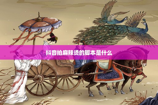 抖音拍麻辣烫的脚本是什么
