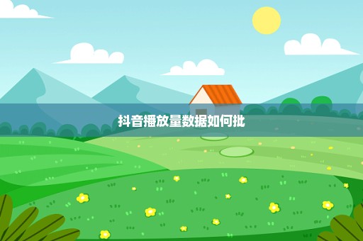 抖音播放量数据如何批