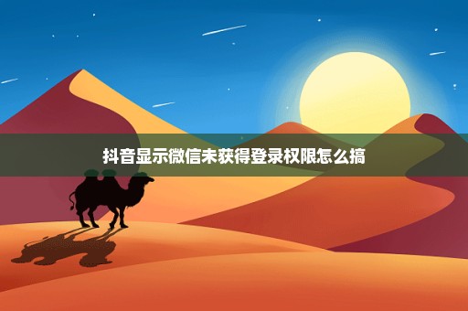 抖音显示微信未获得登录权限怎么搞