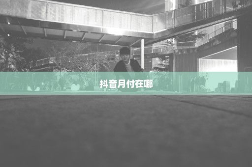 抖音月付在哪