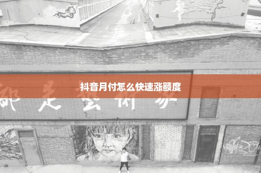 抖音月付怎么快速涨额度