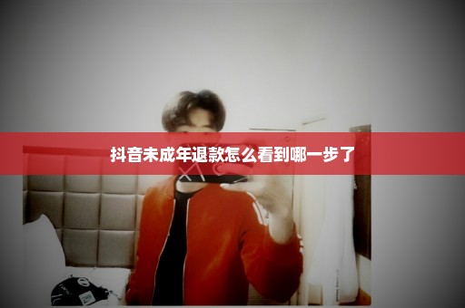抖音未成年退款怎么看到哪一步了
