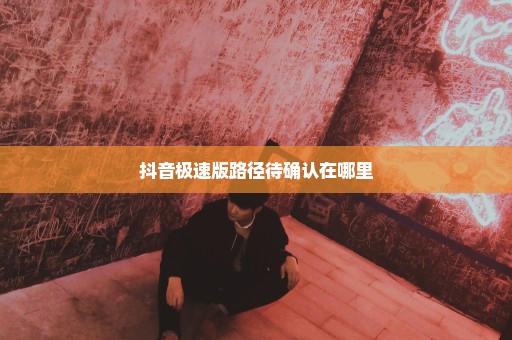 抖音极速版路径待确认在哪里
