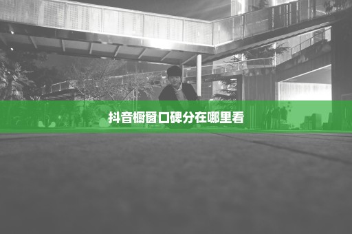 抖音橱窗口碑分在哪里看