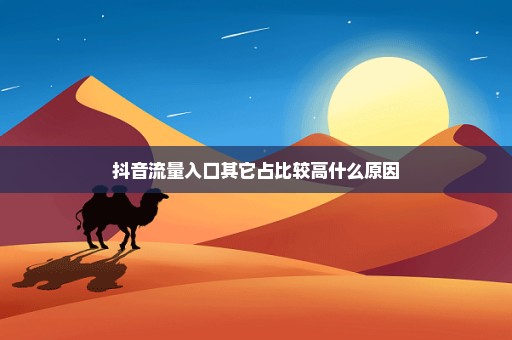 抖音流量入口其它占比较高什么原因