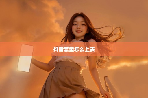 抖音流量怎么上去
