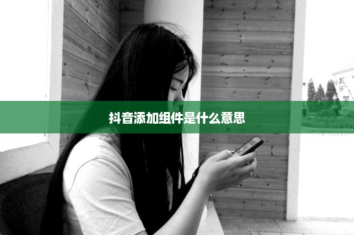 抖音添加组件是什么意思