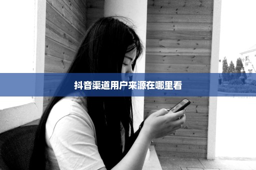 抖音渠道用户来源在哪里看
